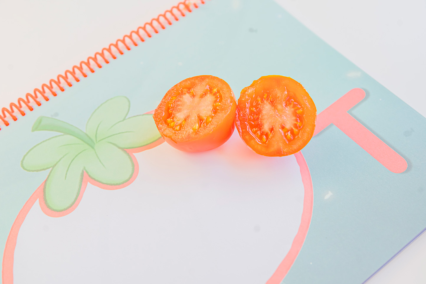 Cuaderno de plástica "ABC Mi primer abecedario" - Imagen 13