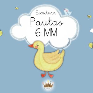 Escritura Pautas 6mm