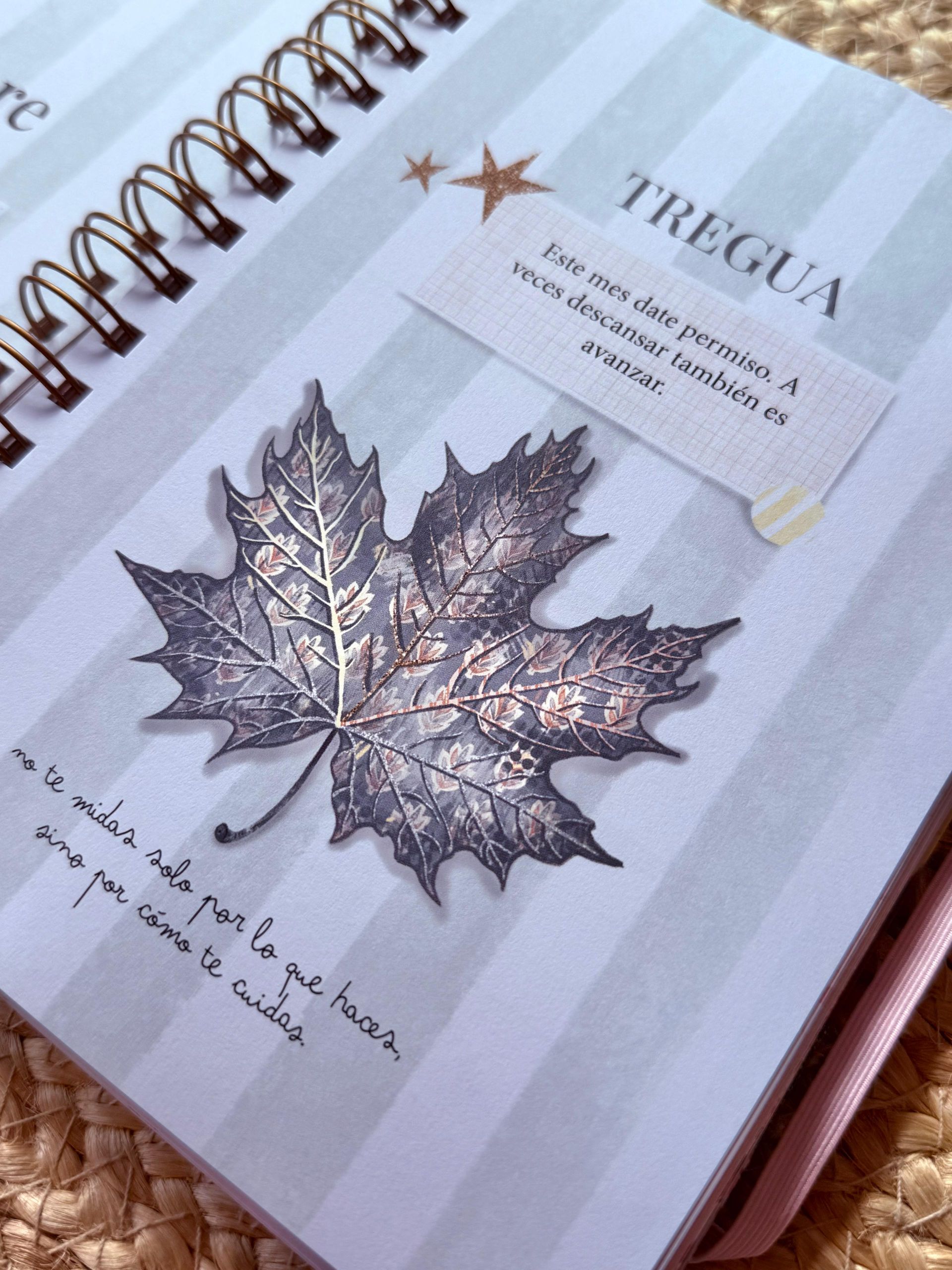 Agenda 2026 · MODO ESTRELLA - Imagen 11